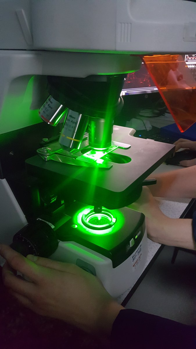 Stoking Curiosity tweet media