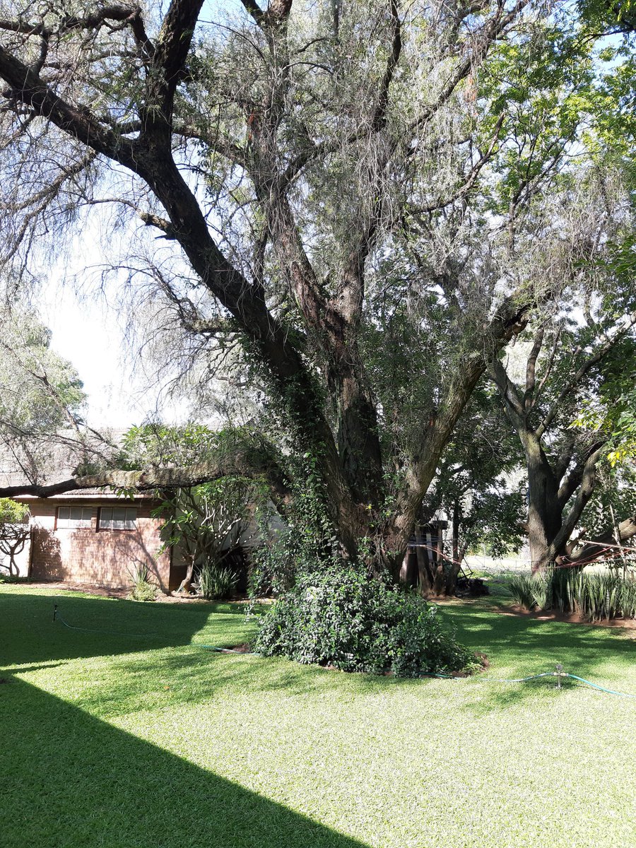 #2020covid19lockdown #mysanctuary!😷😉❤