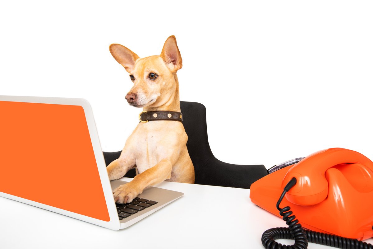 Gabaマンツーマン英会話 ガバ 最近 注目を浴びている 在宅勤務 英語 では 在宅勤務 する ことを Work From Home を使って表します I M Getting Used To Working From Home 在宅勤務にも慣れてきたわ Work Remotely を使うことも