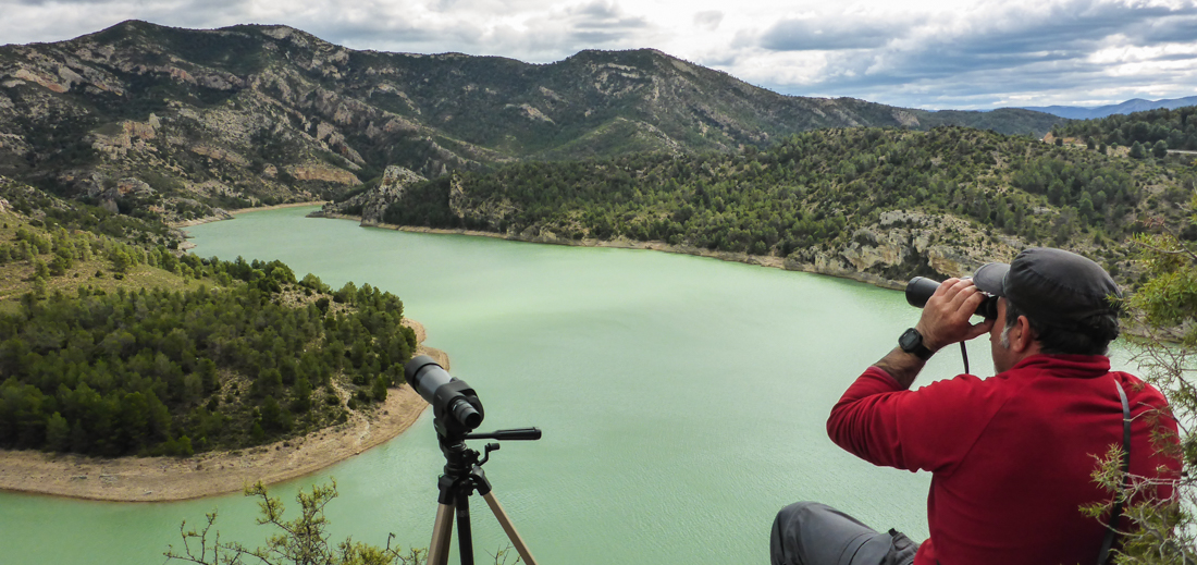 Paleoymas's tweet photo. Seguimiento de aves en las cercanías del embalse de #Calanda (#Teruel) localizando nidos de #aguilaazorperdicera.
 
#consultoriaambiental #paleoymasenaccion #seguimientodeaves #aves #avifauna #avistamientodeaves #birdwatc https://t.co/KfktOHeHdF