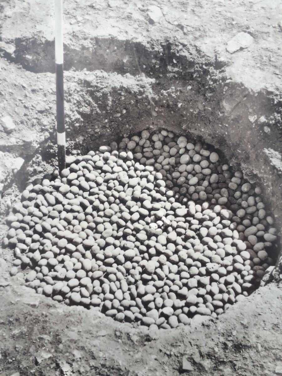 Dr Nichola Arthur tweet media