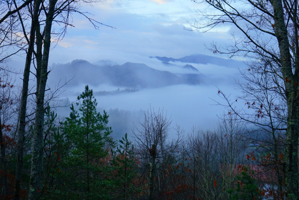 mandydesilets's tweet photo. Mist https://t.co/XklKdUlmB6 https://t.co/pQH3Z6r0ba