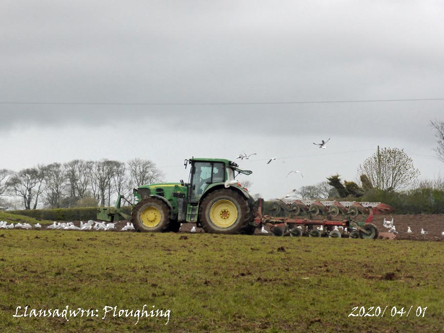 tywyddmon's tweet photo. A cool 7C dull morning with a little rain in SE #Anglesey as the local farmer gets #ploughing done adjacent to our home & #weather_station. A mass of #seagulls were following the plough #stayinghome #AngleseyScMedia @DerekTheWeather https://t.co/AojelvYlDK