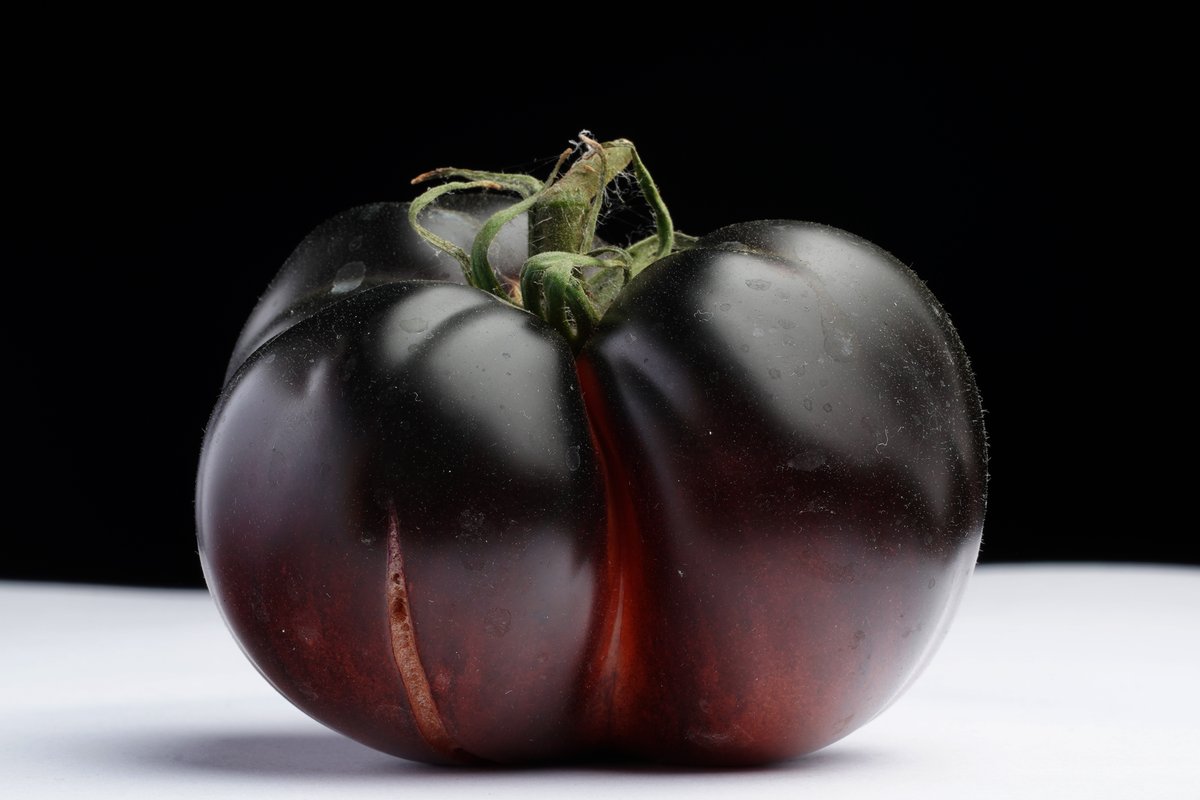 PowersFlowers's tweet image. 🍅 Today’s #ATomatoADay 🍅 is Black Beauty. Read more about it on our Totally Terrific Tomato Festival Facebook page facebook.com/TotallyTerrifi… #TTTomFest20 #TomatoLove