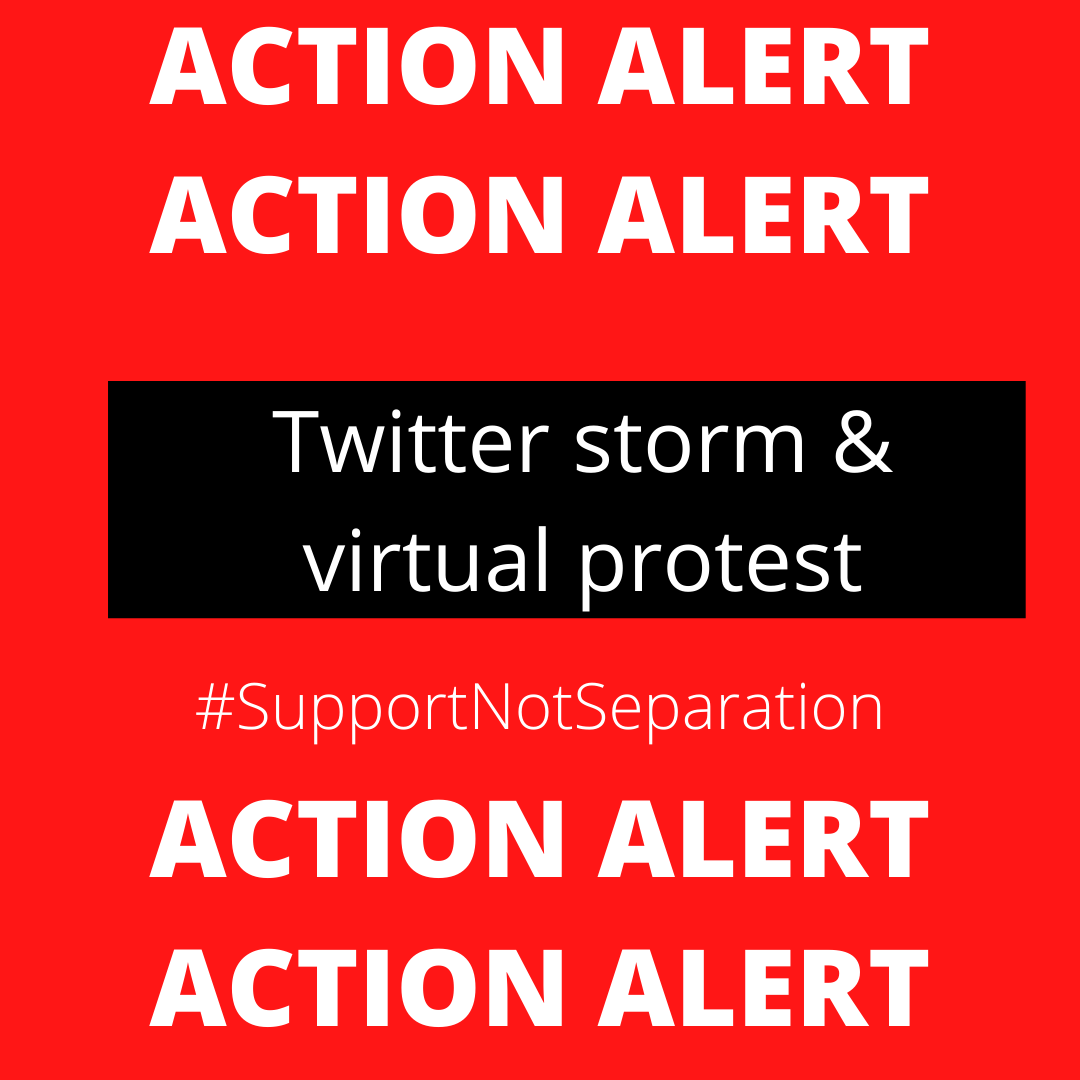 Support not Separation tweet media