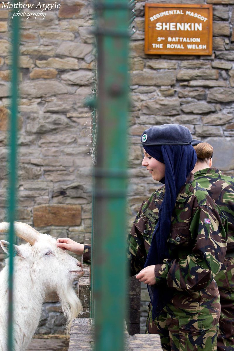 1344 (Cardiff) Squadron (@1344sqnatc) on Twitter photo With all this talk of goats on the news we can’t help but think of our neighbour on Maindy Barracks!
Shenkin is from the same flock currently roaming Llandudno. Hopefully we’ll be able to say hello again soon!
#aircadets #team1344 #llandudnogoats <a href="/theroyalwelsh/">The Royal Welsh</a> <a href="/ComdtAC/">Commandant RAF Air Cadets</a> With all this talk of goats on the news we can’t help but think of our neighbour on Maindy Barracks!
Shenkin is from the same flock currently roaming Llandudno. Hopefully we’ll be able to say hello again soon!
#aircadets #team1344 #llandudnogoats <a href="/theroyalwelsh/">The Royal Welsh</a> <a href="/ComdtAC/">Commandant RAF Air Cadets</a>