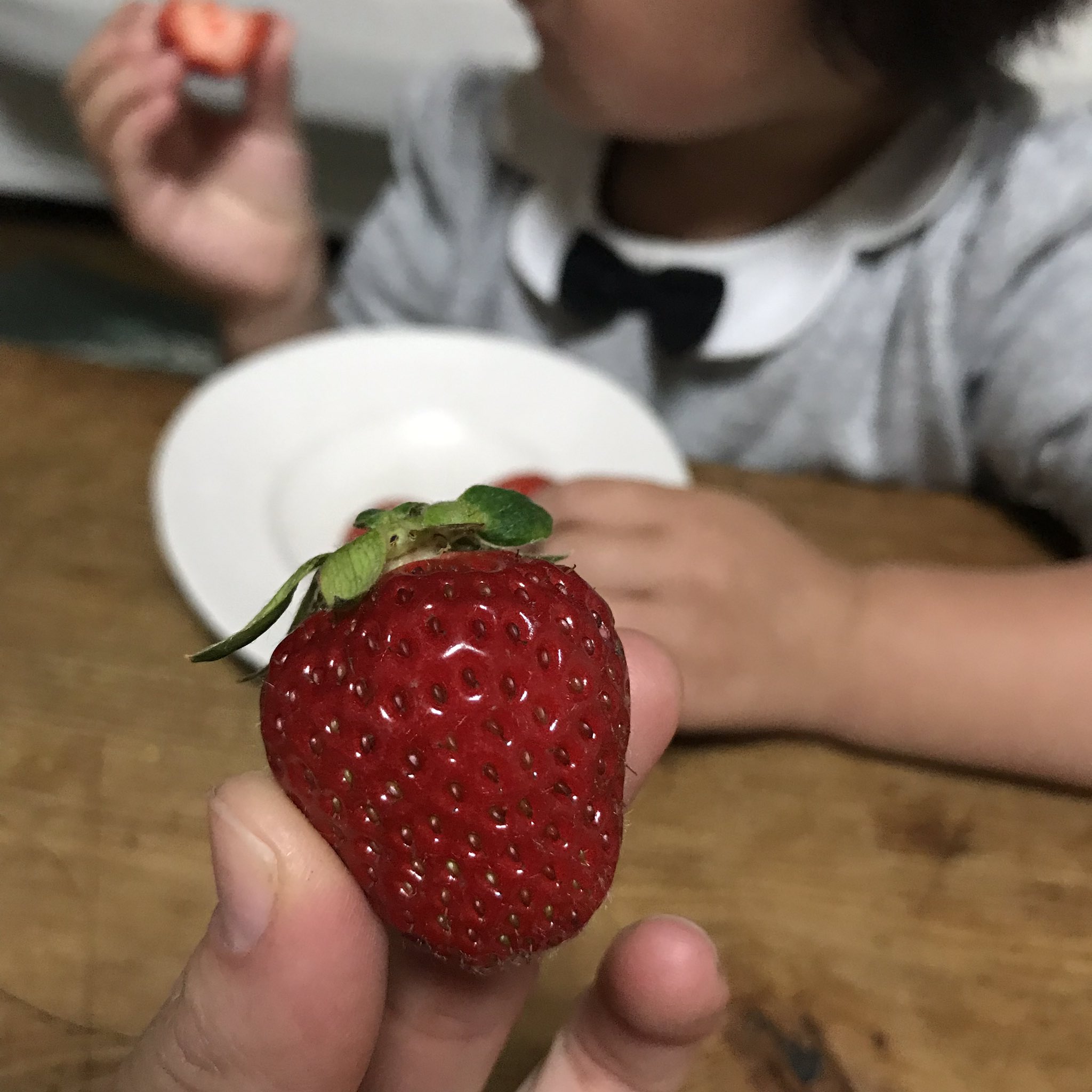 フジタメグミ備前焼作家のツマ 渋々向かった西松屋 到着前に後部座席で子ども爆睡 そのまま当て所なくドライブしてたら いちご狩りと産直所で有名な 岡山フルーツ農園 にいた私 さすがに狩りはしないけど美味しいイチゴ 皆足姫 を遂にゲットできて