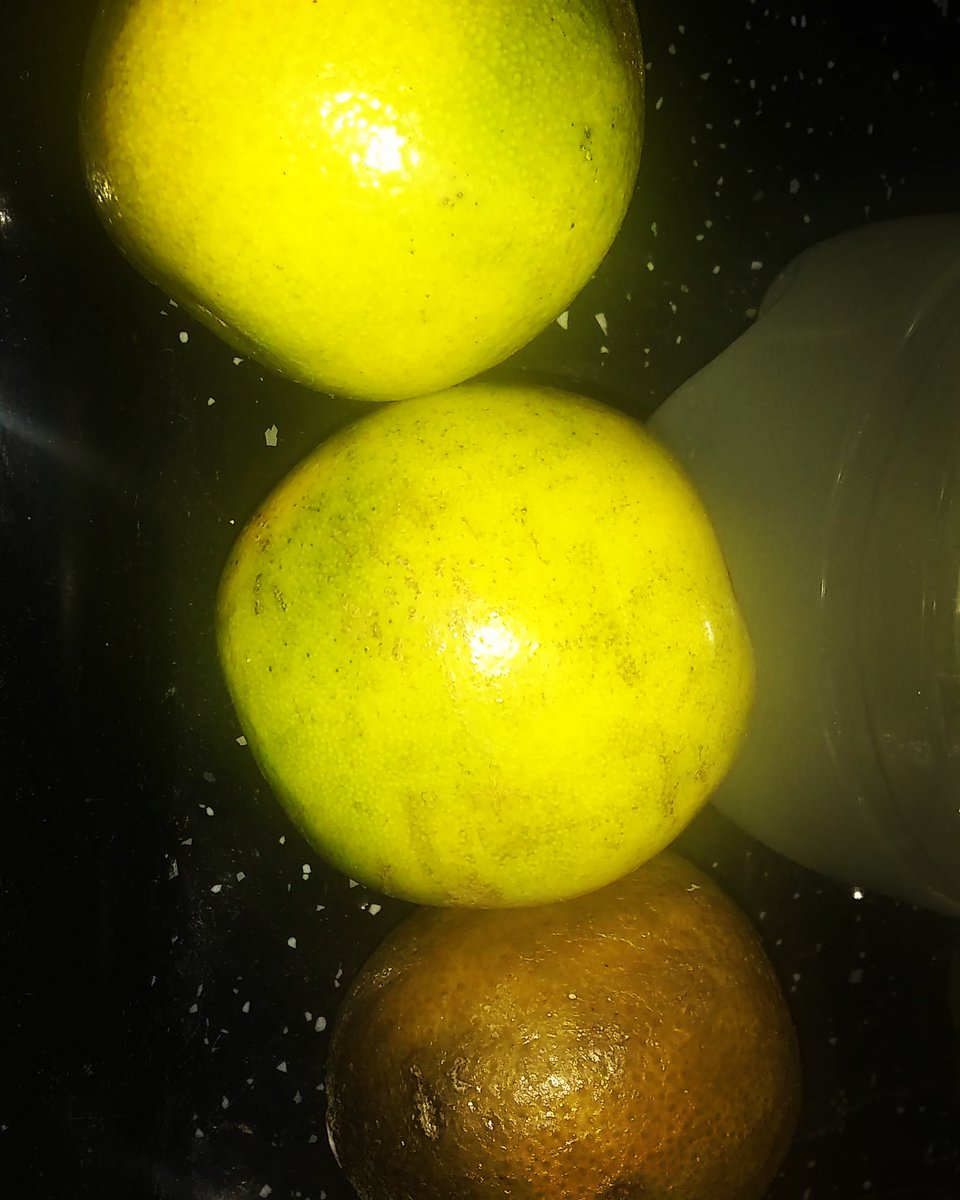 Rayinfox's tweet image. ¥°¥