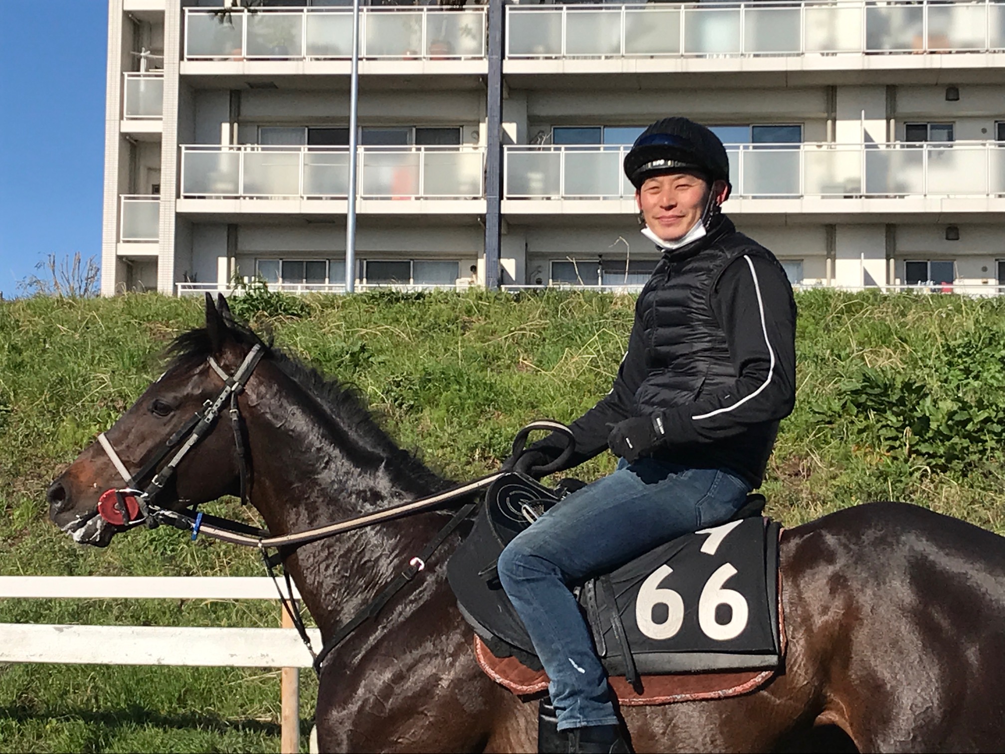厩舎へ帰ろう 1~7巻＋書斎の競馬1〜4巻 11冊セット - メルカリ