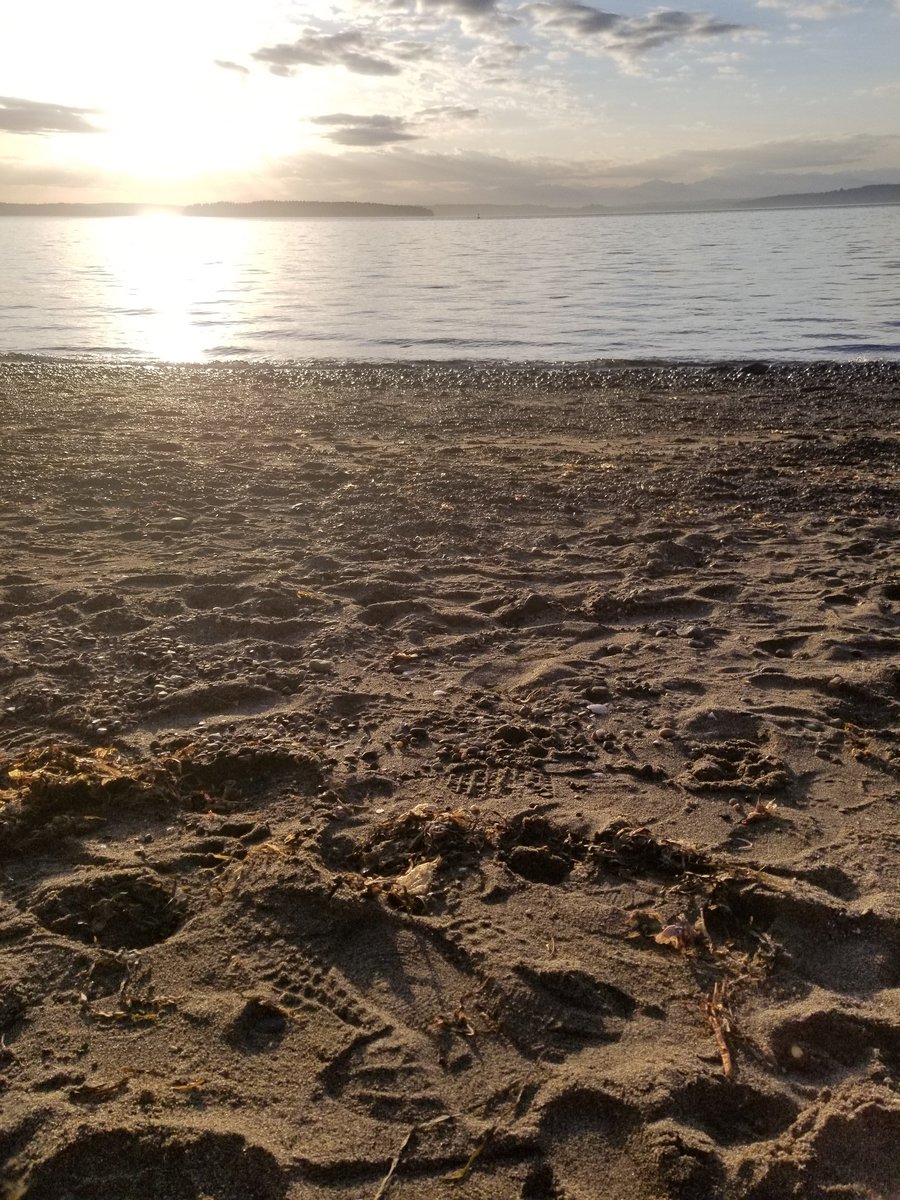 TheLoveOpera's tweet photo. Here's a guided meditation video we recorded during a beautiful spring hailstorm today. With extra music for self care movement, and personal meditation. Thank you Evan Barrett, for the beautiful piano journey. https://t.co/BfUpAlRU4w  #quarantinegem @AuroraThekitten https://t.co/ZEffK0SNN0