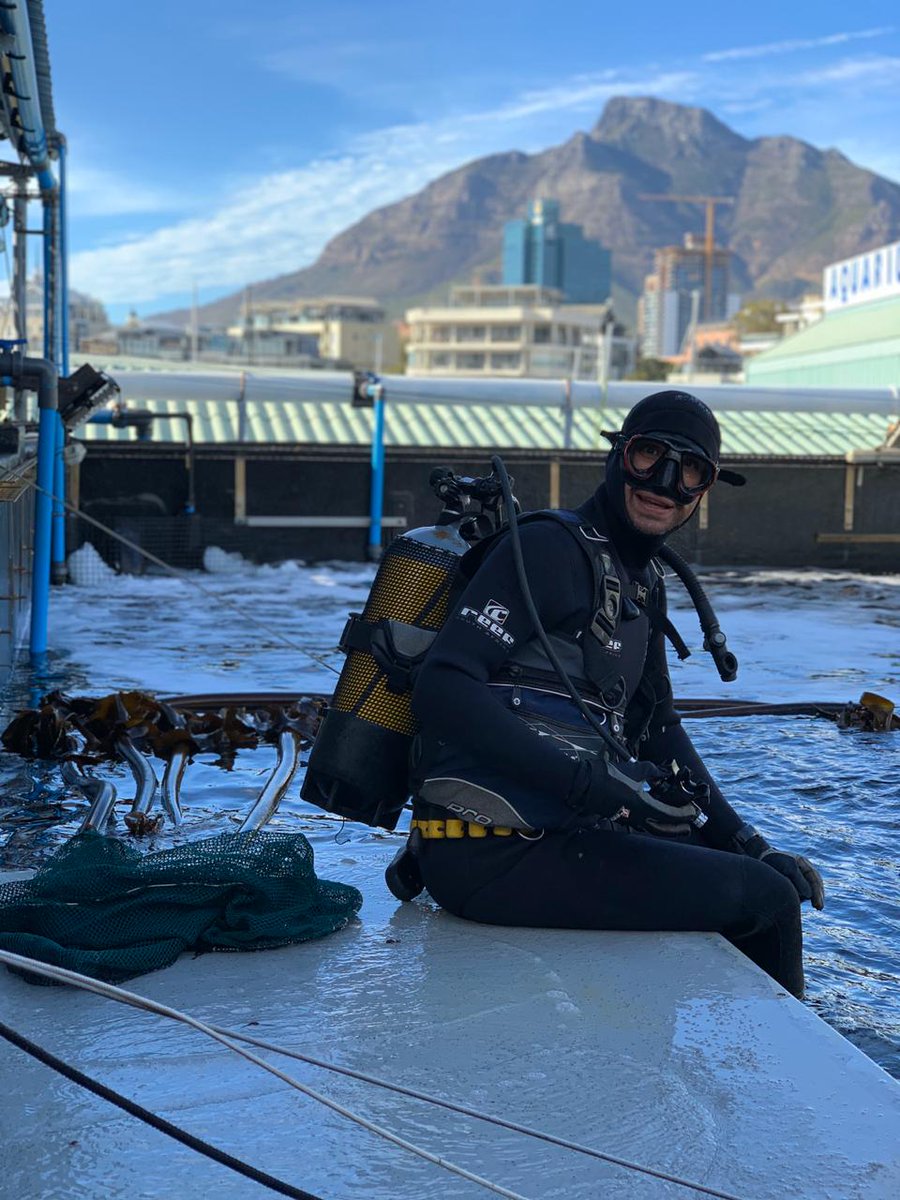 2OceansAquarium's tweet photo. Even though the Aquarium is closed to the public during the #lockdown, a small team of essential staff are working tirelessly behind the scenes to ensure the well-being of all the animals in our care. 🐟

Here's what they are getting up to: https://t.co/cJT1FZWNq4 #capetown https://t.co/ehJ1Jo8OGv