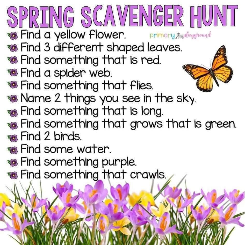 MD_Class1's tweet photo. Home Learning Challenge. Can you choose one of the scavenger hunts below to complete? Take in your surroundings and think carefully about your choices. I did the book scavenger hunt! I loved exploring all my picture books. #MDReading #MDMaths #MDGeography @MD_MrsThompson https://t.co/dErdqVsVvt