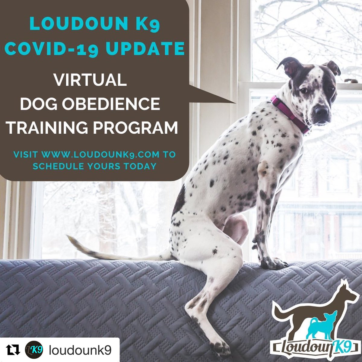 miss_macarthur's tweet photo. Helping out a small business. Times like this make it tough, please spread the word #dogtraining #TeacherFriends #smallbusinessowners #loudounk9 #dogmom #AdoptDontShop #DogsofTwittter #LoudounCounty https://t.co/fYwn2RBrdX