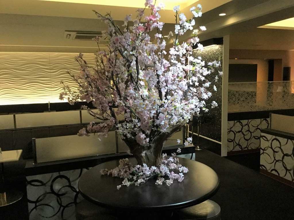 ট ইট র 造花のレンタル ホット アール 八王子 クラブさま 桜 さくら 装飾ディスプレイ 店内ディスプレイ ウィンドウディスプレイ 春装飾 春ディスプレイ 桜 桜ディスプレイ 店舗装飾 店内装飾 店舗ディスプレイ 桜装飾 イベント装飾 T Co ট ইট র 造花のレンタル ホット アール 八王子 クラブさま 桜 さくら 装飾ディスプレイ 店内ディスプレイ ウィンドウディスプレイ 春装飾 春ディスプレイ 桜 桜ディスプレイ 店舗装飾 店内装飾 店舗ディスプレイ 桜装飾 イベント装飾 T Co