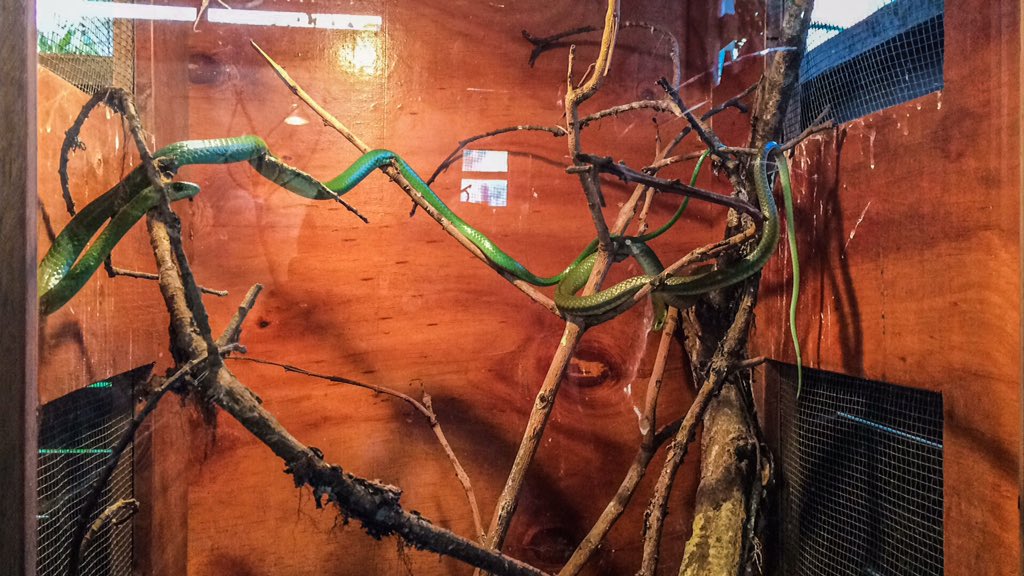 Visiting Richard Kandt museum to learn more about Rwanda. 
It was a very educational moment and would encourage every Rwandan to check it out.