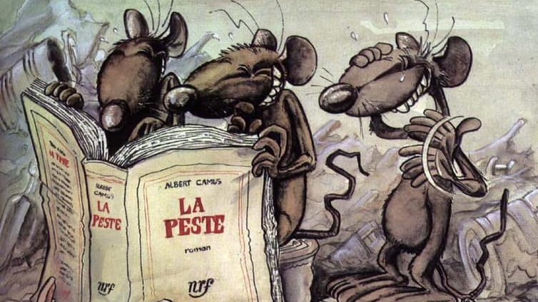 HumanSirk's tweet image. salut !