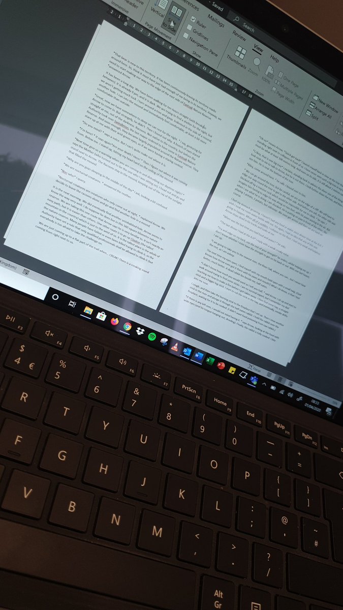 DuffMeadowsY5Y6's tweet photo. I've read a great story already this morning. Clearly inspired by @PiersTorday The Last Wild, one of my pupils has finished what we started in school before lockdown and sent it to me. Lockdown=time to write. #boyscanwrite https://t.co/RXIPCylIve