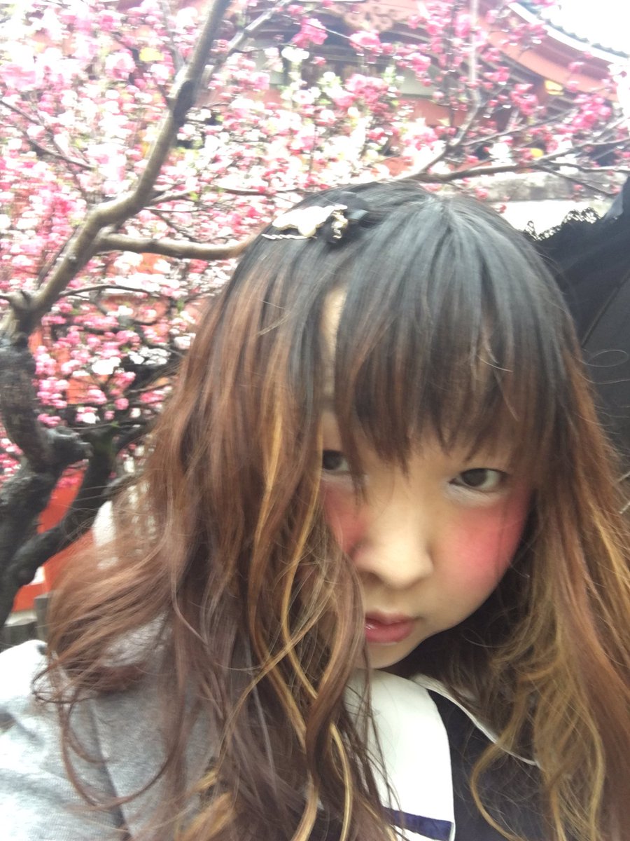 Avainsana 加工アプリ使わないよ Twitterissa Avainsana 加工アプリ使わないよ Twitterissa