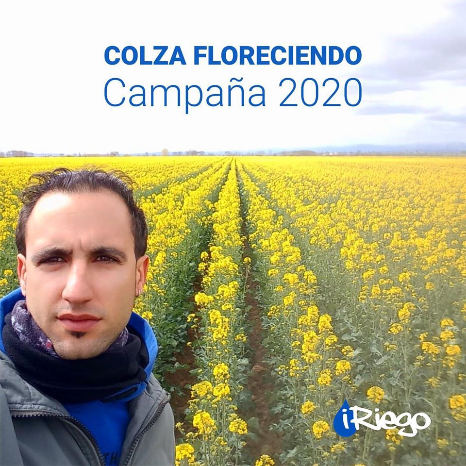 iRiego's tweet photo. Otro año más florece la colza, aunque este año no es un año cualquiera, este año el esfuerzo es mayor.
Enviamos de corazón 💚 a todos los agricultor@s nuestro apoyo y fuerza. ¡Estamos a vuestro lado!
#colza #agricultura #iriego #agricultor #guarda #tecnico. #campaña2020 https://t.co/L7pmSEKJcP