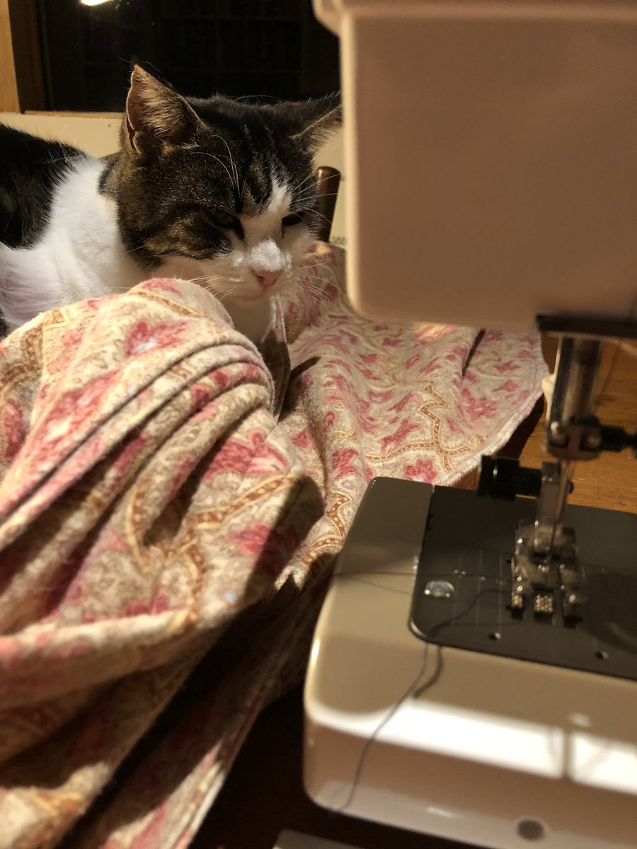 BloodyK8's tweet photo. I’ve made a padded storage bag for my craft cutting mats & rules. My trusty assistant provided company. Now they are all together dust-free and protected from scratches. Some internal dividers help keep them sorted #SimpleSewingProject #SewingOrganisation #CraftOrganisation https://t.co/BExJUeKAG1