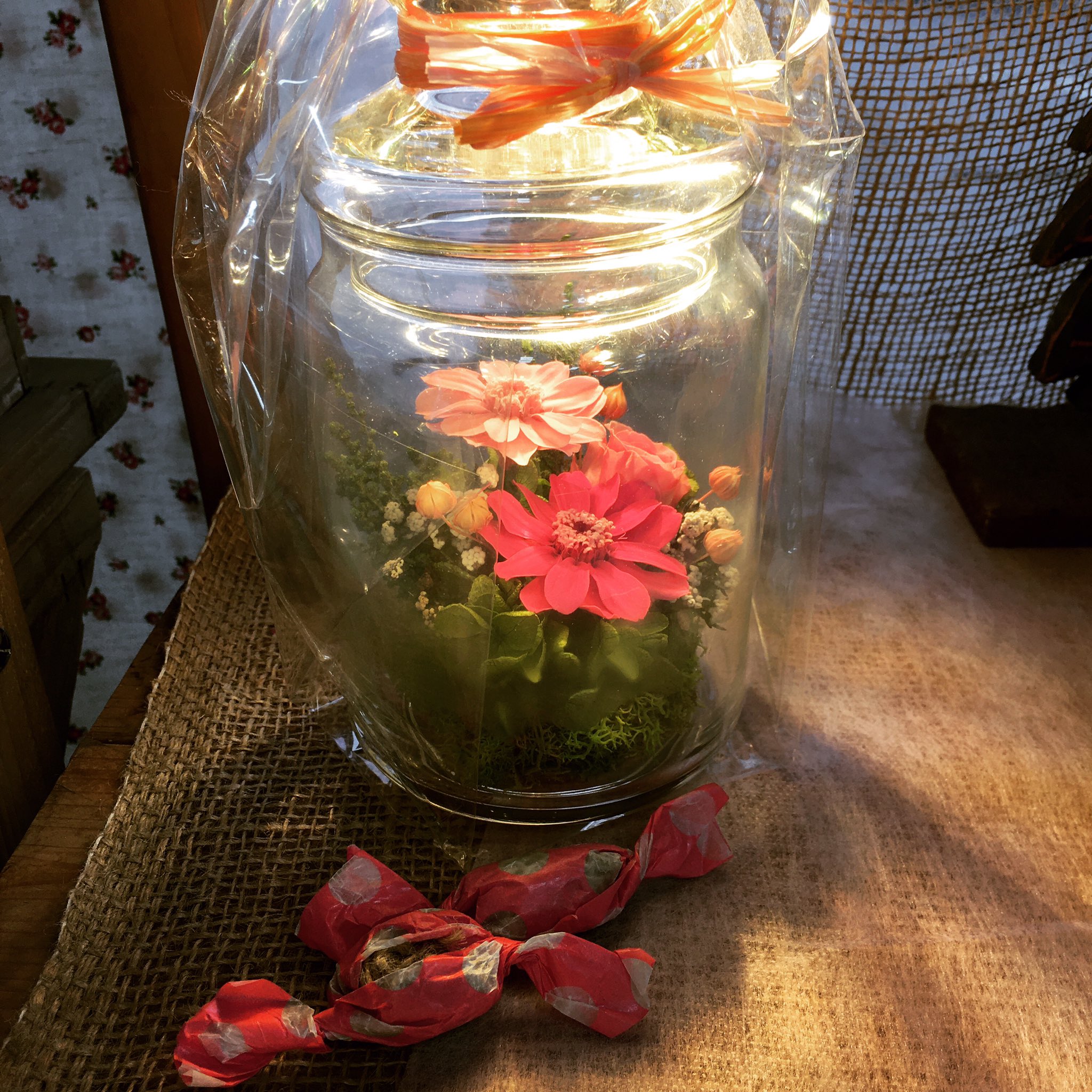 多賀城フラワー高砂店 可愛いピアンタボトル 花 Flower 花のある暮らし 多賀城フラワー高砂店 ピアンタボトル T Co Yyjqb3pvwz Twitter