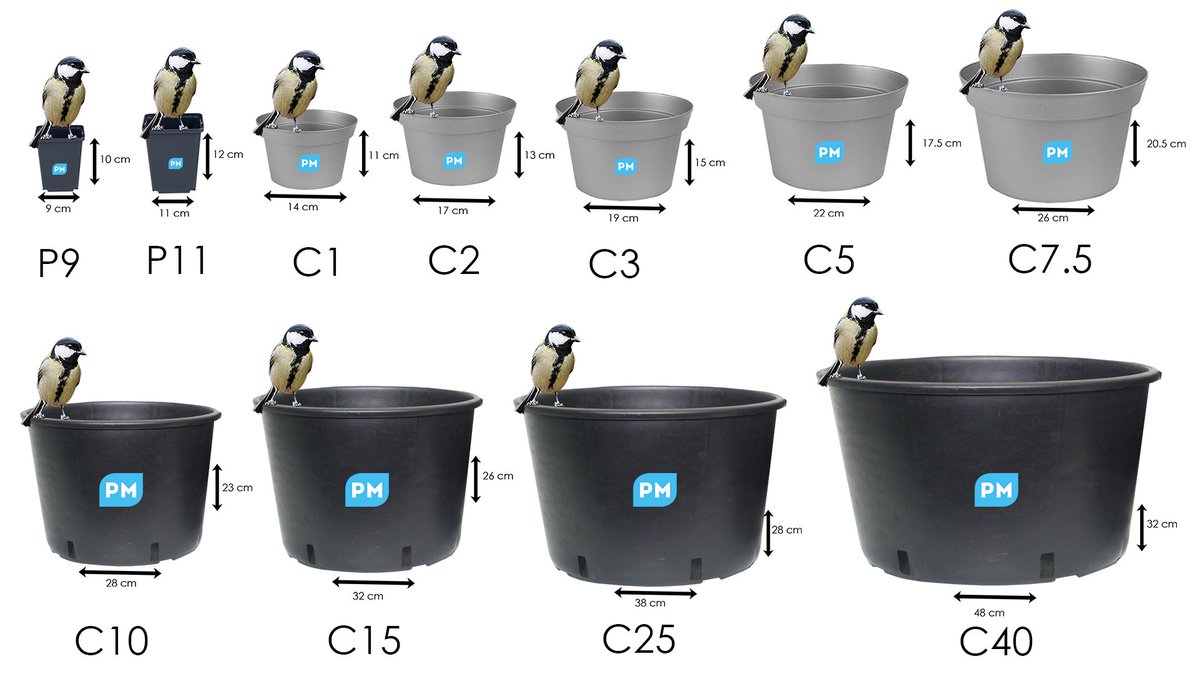 A new version of all pot sizes, some correct comments were made #plantmarket #potsizes #getgardening #plants #StayHomeChallenge