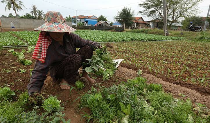 ISCDCs's tweet photo. 4 best #Sustainable #agriculture practices

✓Rotating crops and embracing diversity
✓Planting cover crops
✓Reducing or eliminating tillage. ...
✓Applying integrated pest management (IPM)

Do you know other practices worth 
Mentioning? 👇
#sustainability
#SDGs https://t.co/qffcVY1Txv