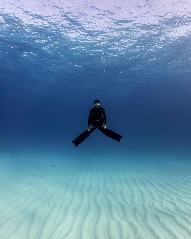 Social distancing, freediver style 
📷 Scott Smilth / <a href="/SharkWarrior/">Lesley Rochat</a>