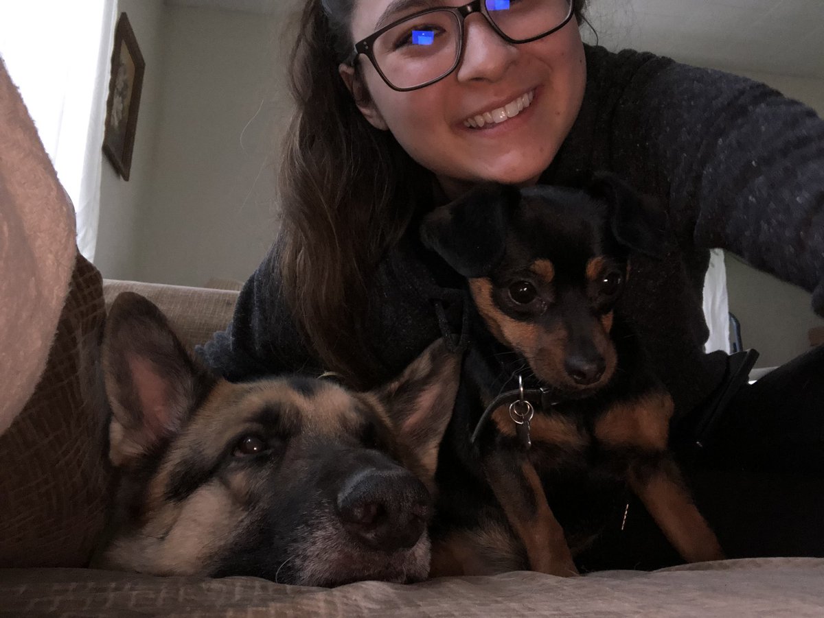 AMildenstein's tweet photo. Tried so hard for this pic.. I think they are both over my shit https://t.co/mFpgtXN1LN