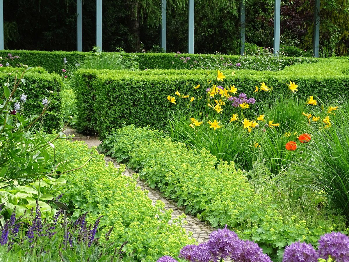 gartench's tweet photo. Die #Buchsbaumzünsler sind bereits wieder aktiv. Wer genug hat von der Schädlingsbekämpfung kann für Beeteinfassungen in seinem #Garten auch #Stauden einsetzen. Das ist erst noch ein Beitrag zur #Insektenvielfalt.

https://t.co/kkMW5kEnp4

GMH/Bettina Banse https://t.co/MtxWqR13P5