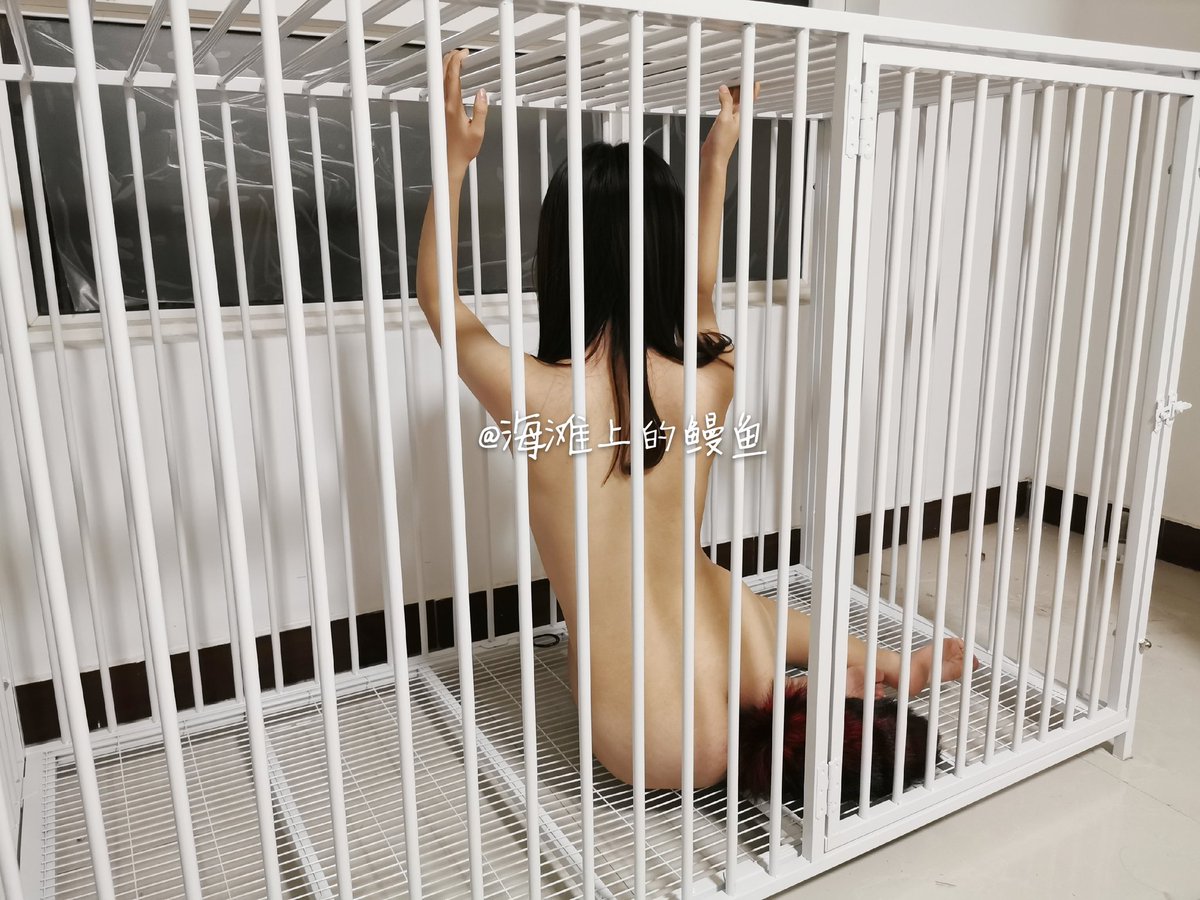 manyu666's tweet photo. 狗狗第一次被圈养的时候拍的。 https://t.co/bHdsP6r9Y3