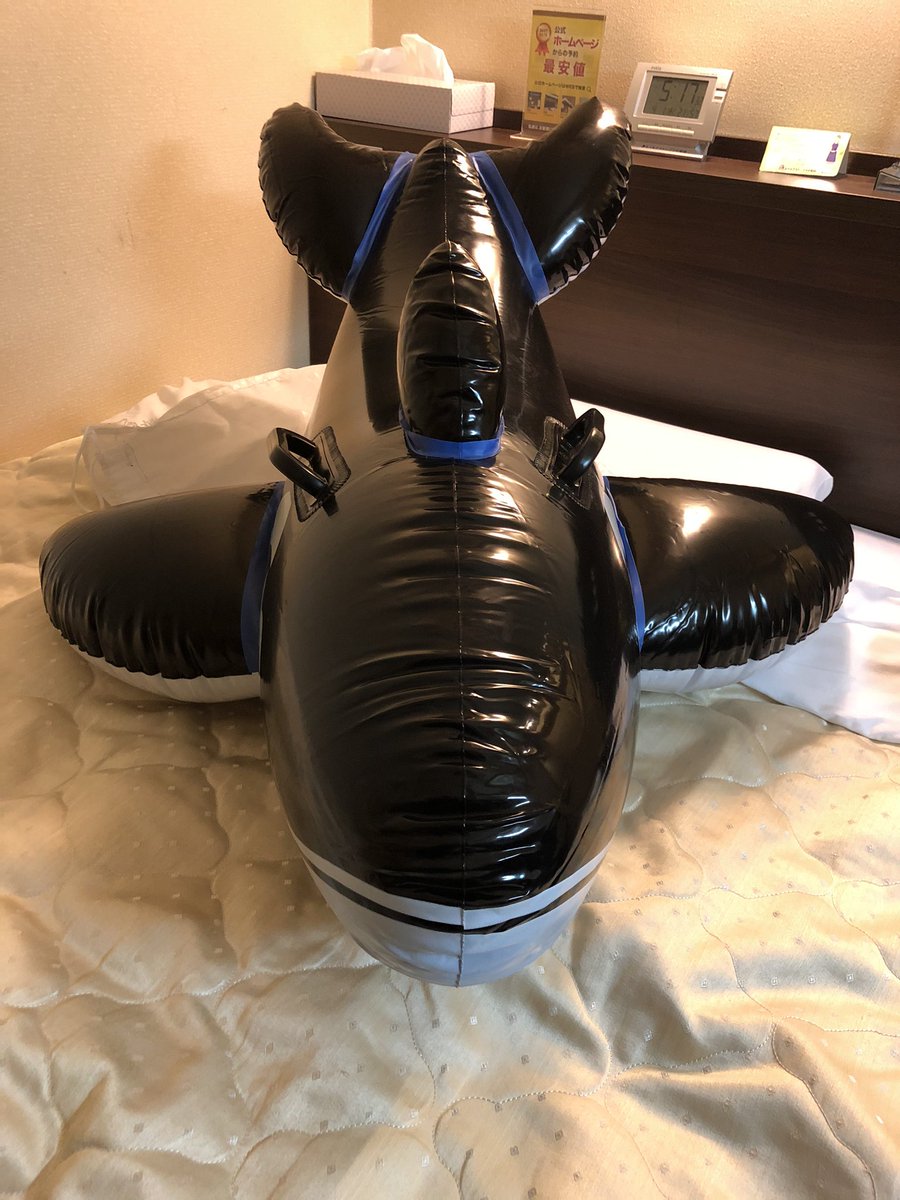 orca672200's tweet photo. これはなかなか https://t.co/zTRYjLRF9S
