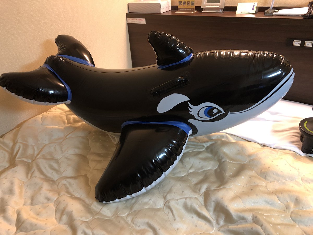 orca672200's tweet photo. これはなかなか https://t.co/zTRYjLRF9S