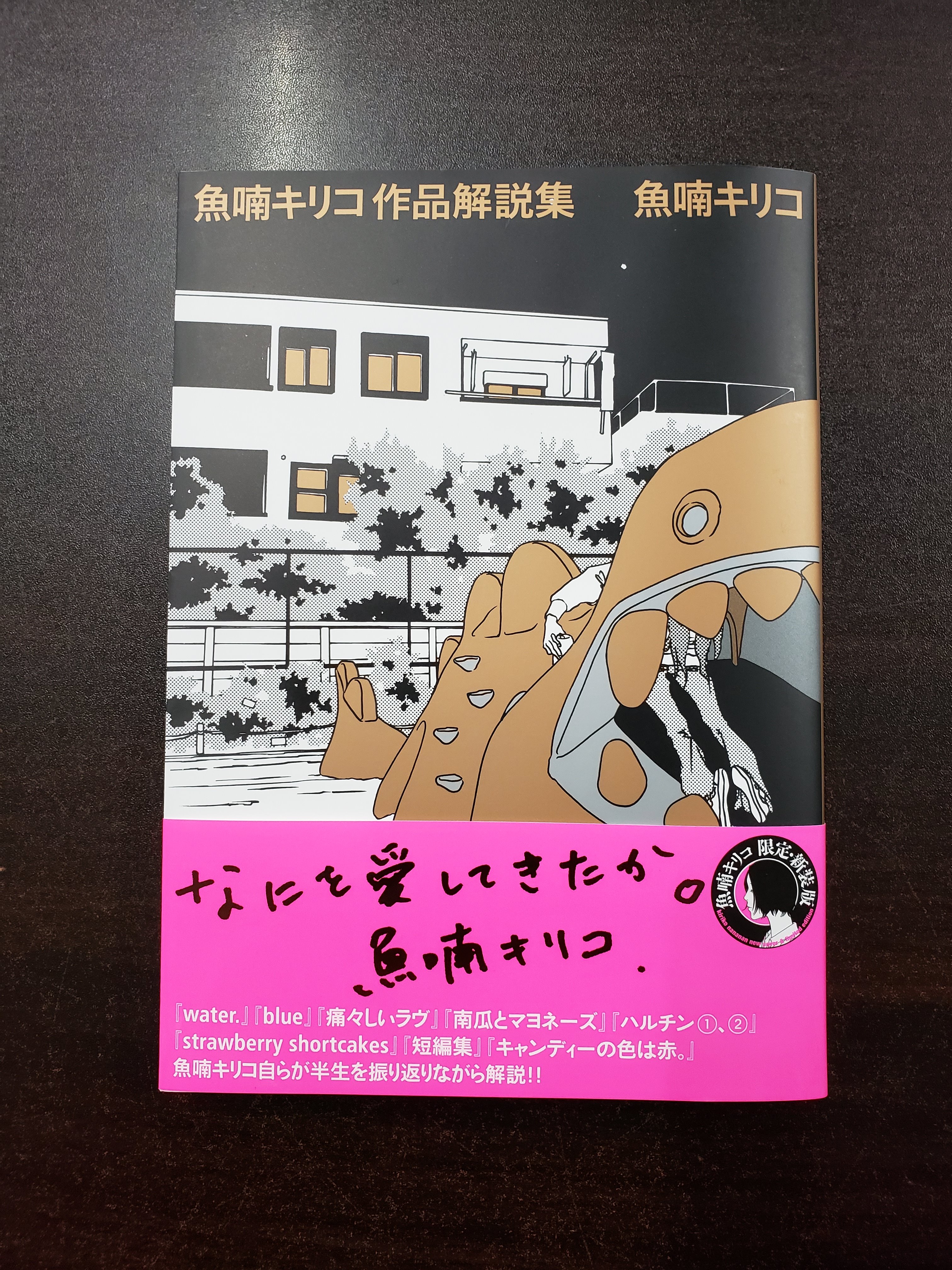 青山ブックセンター本店 魚喃キリコ作品解説集 東京ニュ ス通信社 が入荷しました 過去に単行本化された作品を魚喃キリコさん自らが物語の伏線や当時の心情を交えて解説 休筆期間について初めて語るインタビューや 高野文子さん 藤沢周さんとの過去