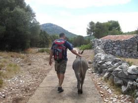 CroaziaInfo's tweet image. Croazia Foto – isola Pag e Zrce e Dugi Otok buff.ly/2CBExHz
Sono giorni giusti per sfogliare le foto delle vacanze in Croazia (2/9) 
(inviateci anche le vostre nel gruppo nostro FB - buff.ly/2UIJE1d