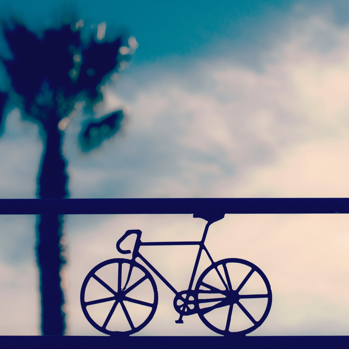 spokesfit's tweet photo. We're daydreaming of places we would like to ride in... Where would your place be?
#ridethroughit #spokescares #cycling https://t.co/Q8E4N2XFpr