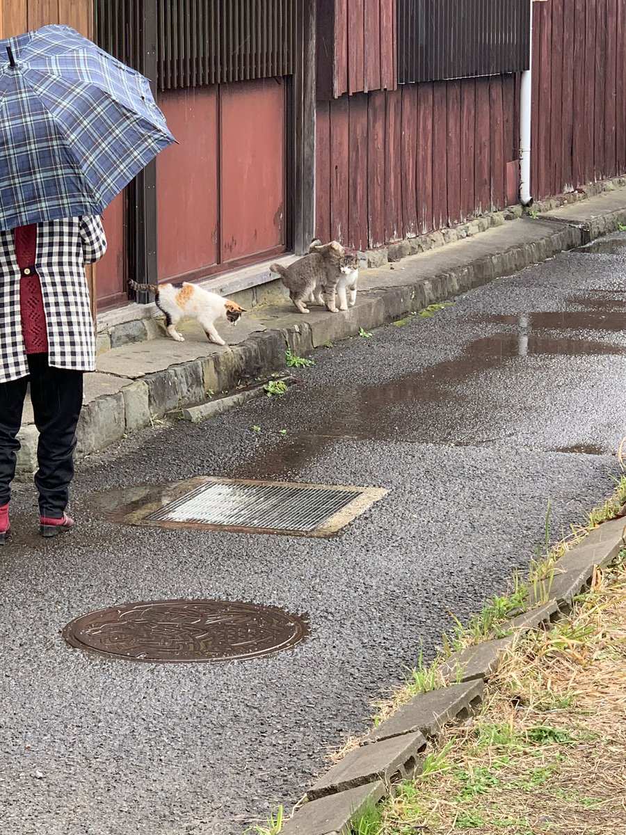 ※わかやん※ Y-3 ボストンバッグ LEATHER WEEKENDER メンズ レディース : ZOZOTOWN