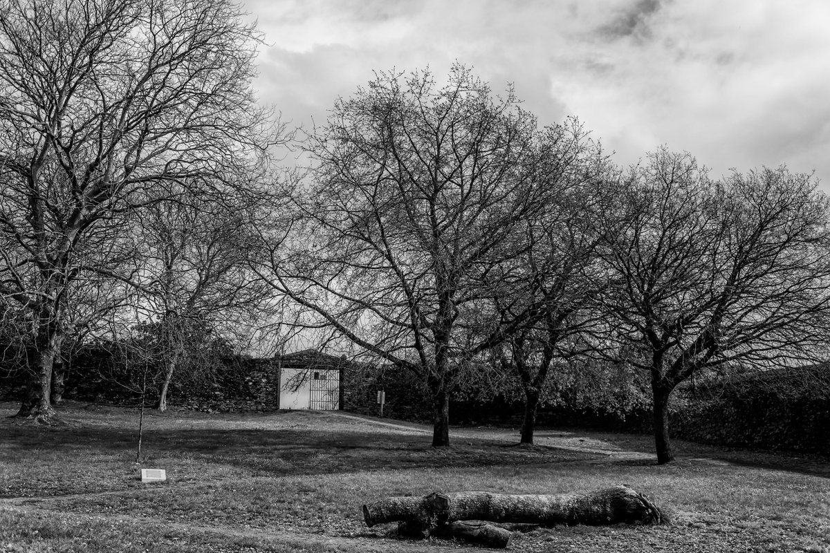 peparinfante's tweet photo. #originalphotos #photography #nikonphotography #NaturePhotography #naturephoto #nature #Naturaleza #Galiza #Compostela #Bonaval #architecturephotography #blackandwhitephotography #wheredowegotour https://t.co/bjjYXR09j3