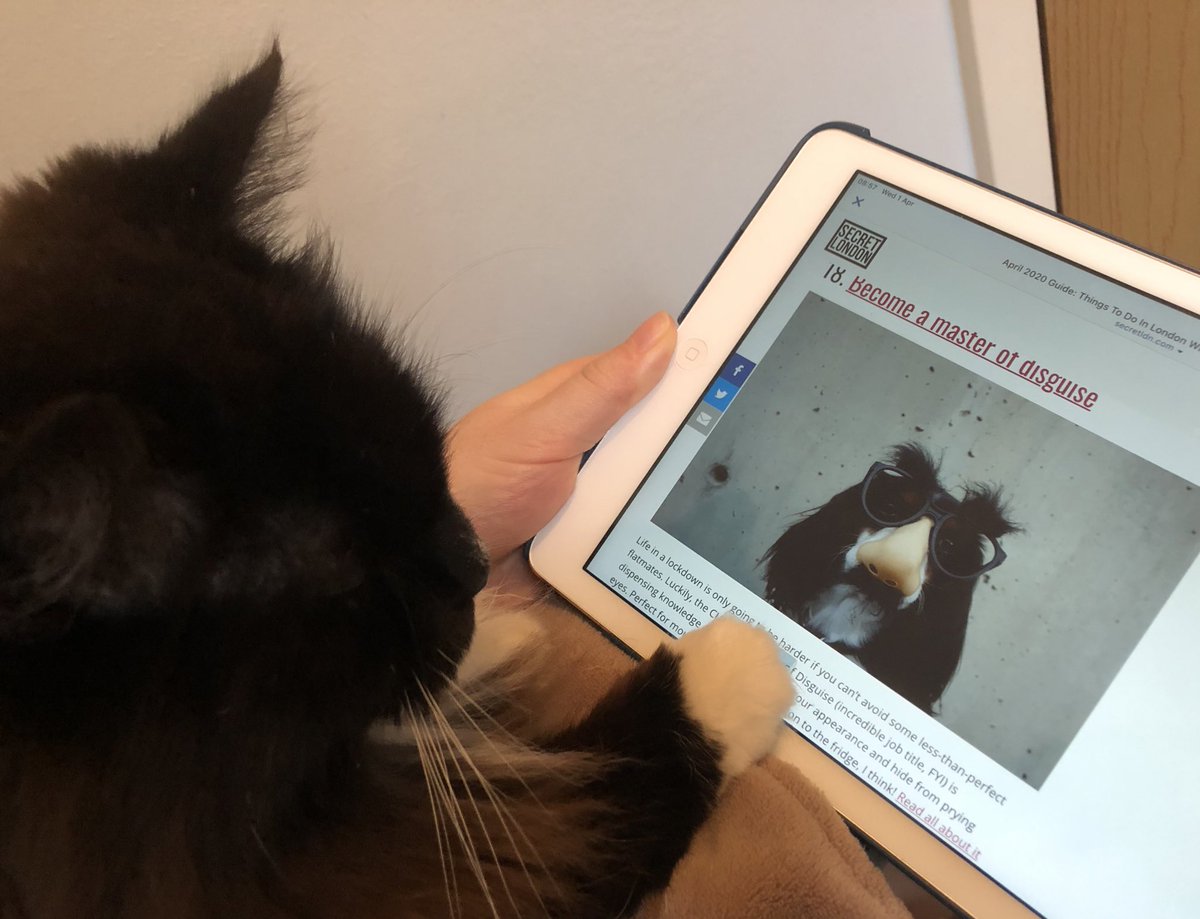Perusing activities to do at home #workingfromhome