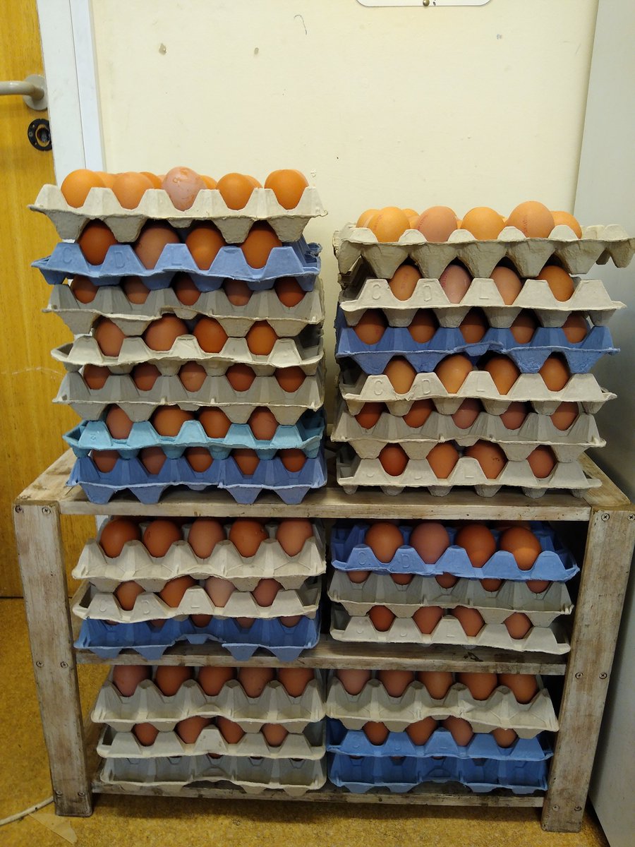 Egg shortages what egg shortages?