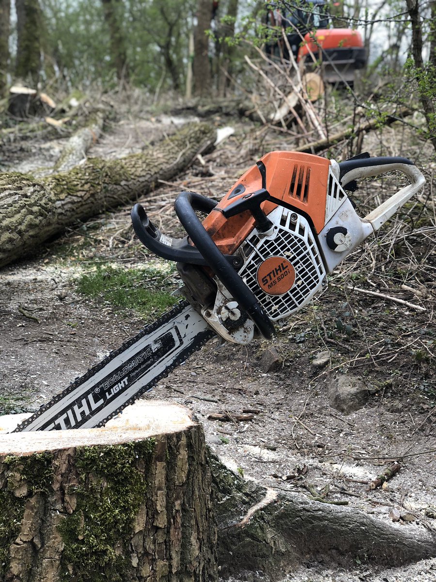 jaymilson's tweet image. Stihl life👍