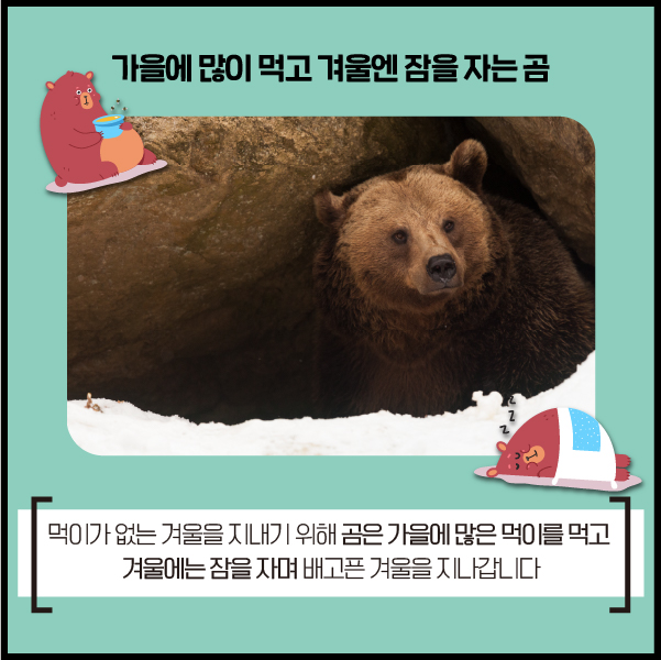 kcen1t's tweet photo. 기후변화로 인해 평소보다 
겨울잠에서 빨리깨어나는 곰
⠀
사람과 동물이 함께 살아가기 위해
기후변화에 대한 관심이 필요합니다.
⠀
블로그에서 보기
▶ https://t.co/69OILQTvM2
⠀
#한국기후환경네트워크 #KCEN
#지구온난화 #기후변화 #겨울잠 #환경
#온실가스줄이기 #기온상승 #따뜻한겨울 https://t.co/oIROSNcNNm