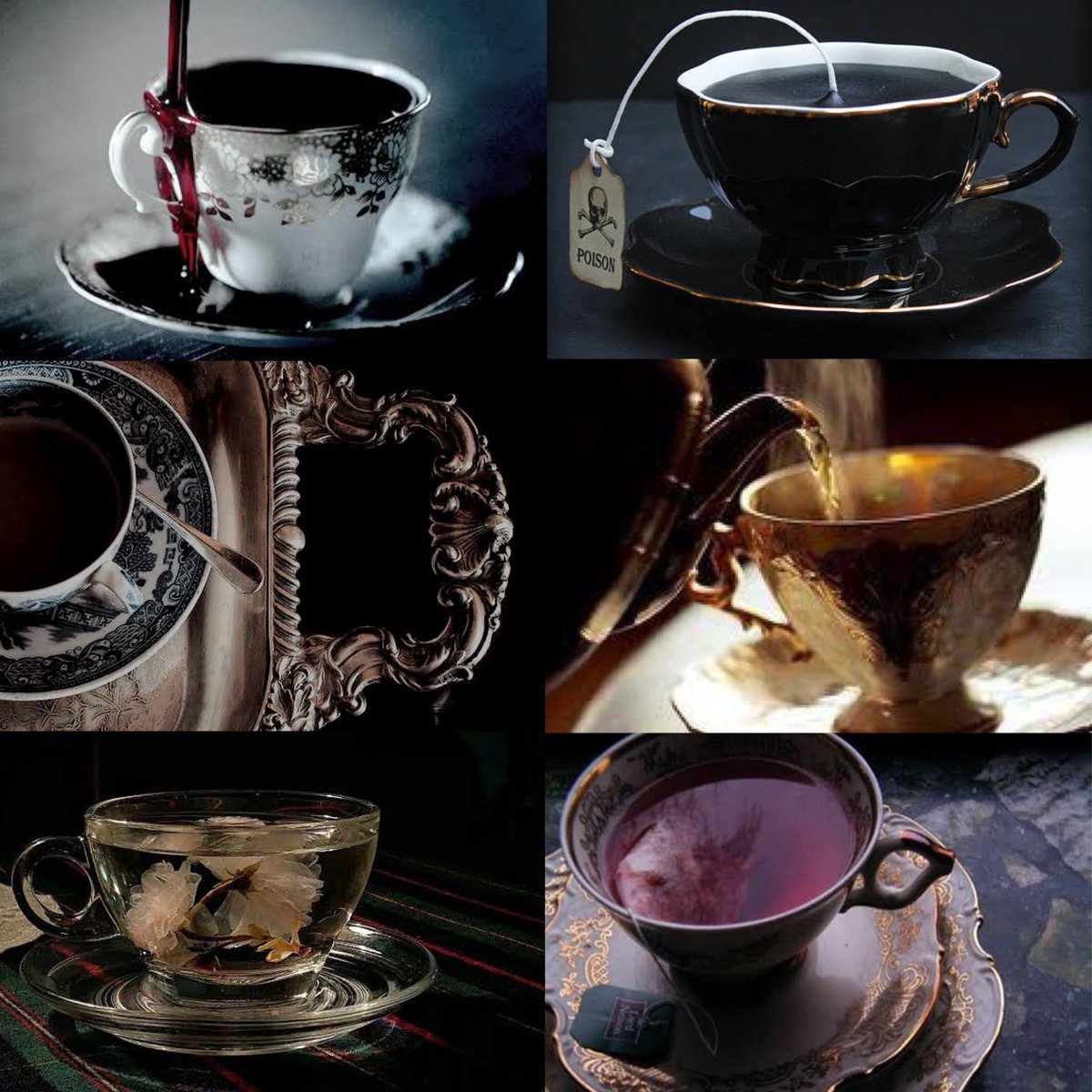 Levi - Tea Sommelier ☕️ tweet media