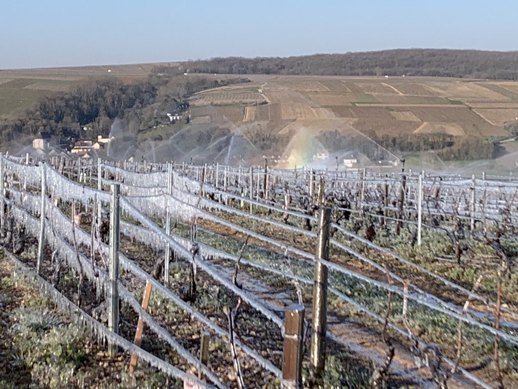 OlivierCOSTE2's tweet photo. De mon #télétravail #ConfinementJour16.
Je remercie notre #agriculteur #vititiculteur #viticultrices de #Maligny,pour ce partage de #sms.
Ce matin les #gelées persistent,dans le vignoble.
La @sencrop #Chablis #Fourchaume,pour un top départ de l’aspersion à-4.
Bon courage 🤞. https://t.co/g8U06ztgbk