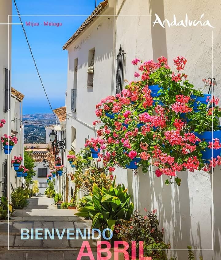 Así le damos la bienvenida al mes de abril aunque sigamos encerrados en casa. ¿Tenéis patios con flores?  Nos podéis hacer llegar las fotos y la publicaremos y damos un poco de color y alegría a toda esta situación.💪💪👏👏🌻