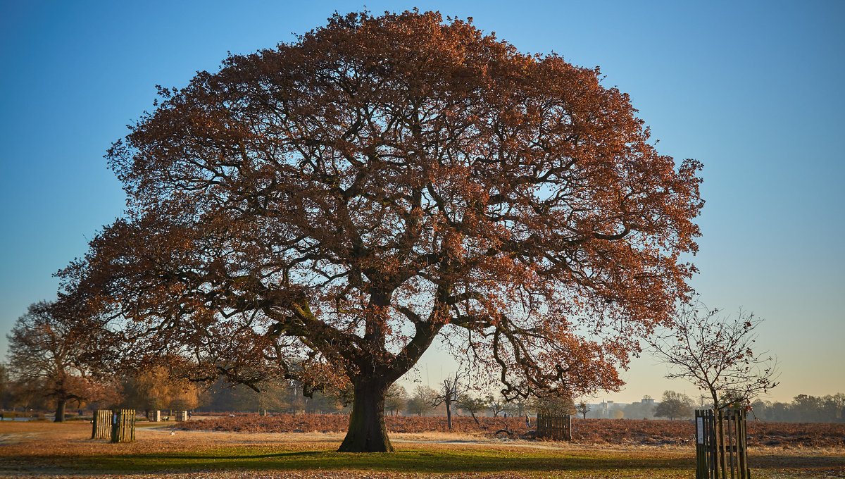parkrun Sverige tweet media