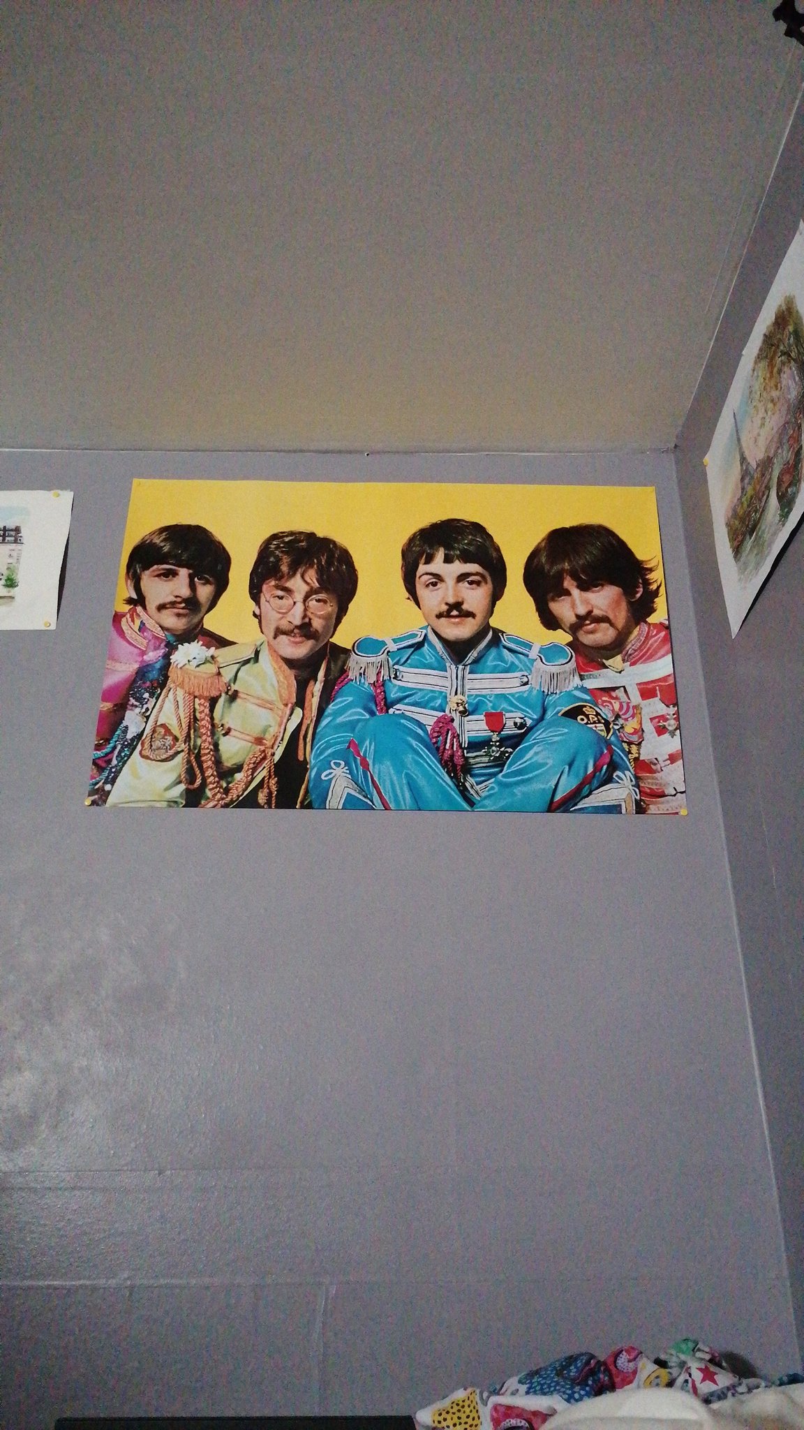 emylekoala on Twitter "Day 15 of confinement I hung my new posters and