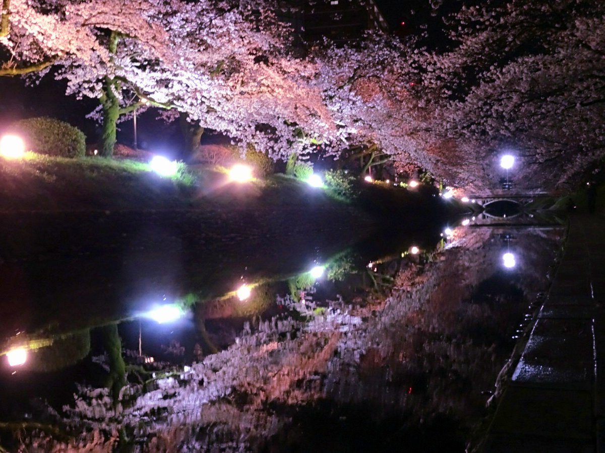 centralparktym's tweet photo. 富山市 ”松川べり”
ほとんど人通り 無くなる
夜遅い時間🌃 歩きながら📸

目の前に広がる
静寂の中 灯りに浮かぶ #桜

1日も早く🙏心穏やかな日常に
戻りますように…

新年度もどうぞ
宜しくお願い致します🎀 https://t.co/sJ1ojzZ6QN