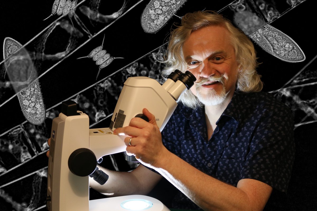 Coming up in 10 minutes - another #microminute. Today I've shifted kingdoms and have a fiendish plant under the lens. 

In theory - this is live after all...

#ScienceFromHome #scicomm #homeschool <a href="/zeiss_micro/">ZEISS Microscopy</a> <a href="/RoyalMicroSoc/">RMS</a>