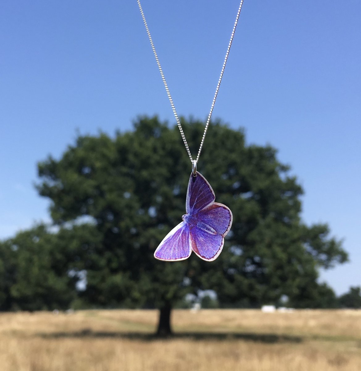 PFJewellery's tweet photo. Lovely sunny day here hope it is where you are. Bringing the outside inside today with our Common Blue butterfly necklace. Use code LETTERBOX to get £10 off. Posted on our daily walk and will go through a letterbox. #letterboxgifts #bringtheoutsideinside https://t.co/Z8WP9mseZc https://t.co/P3TKSQzXYh